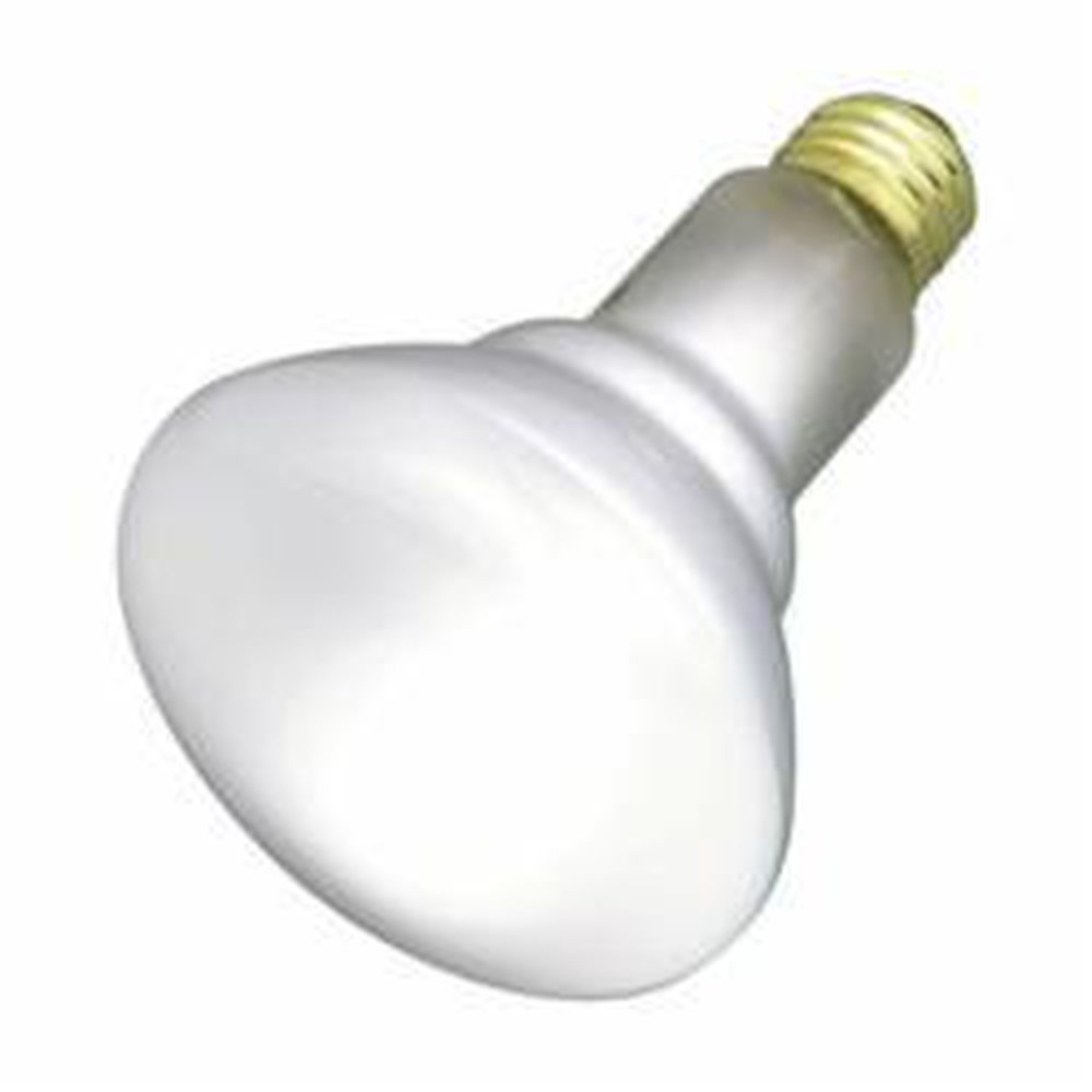 S2817 SATCO 65 WATT BR30