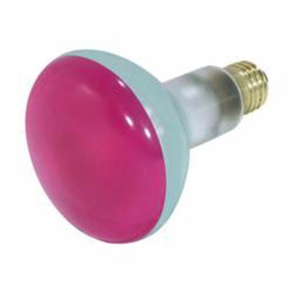 S3213 SATCO 75 WATT BR30