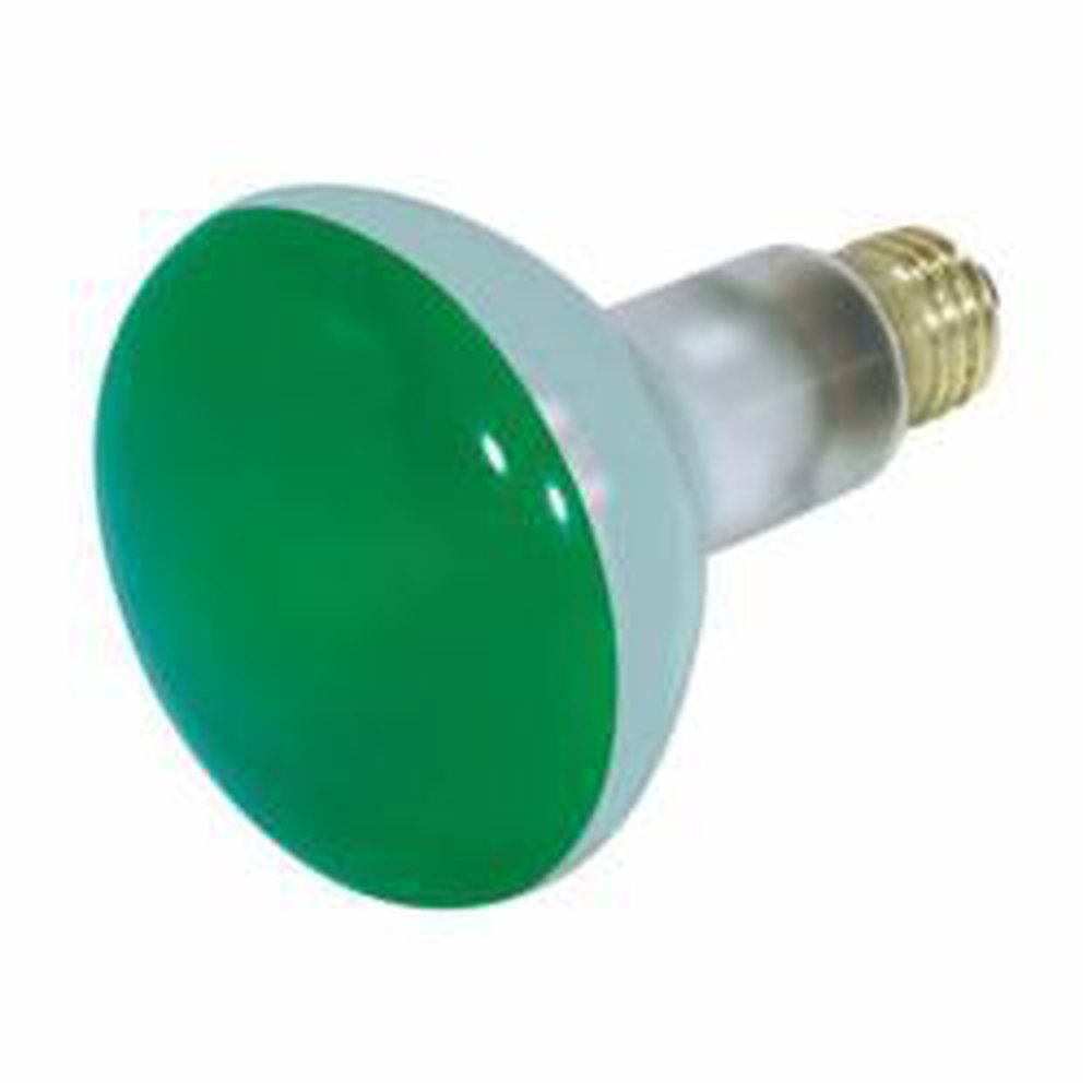 S3228 SATCO 75 WATT BR30