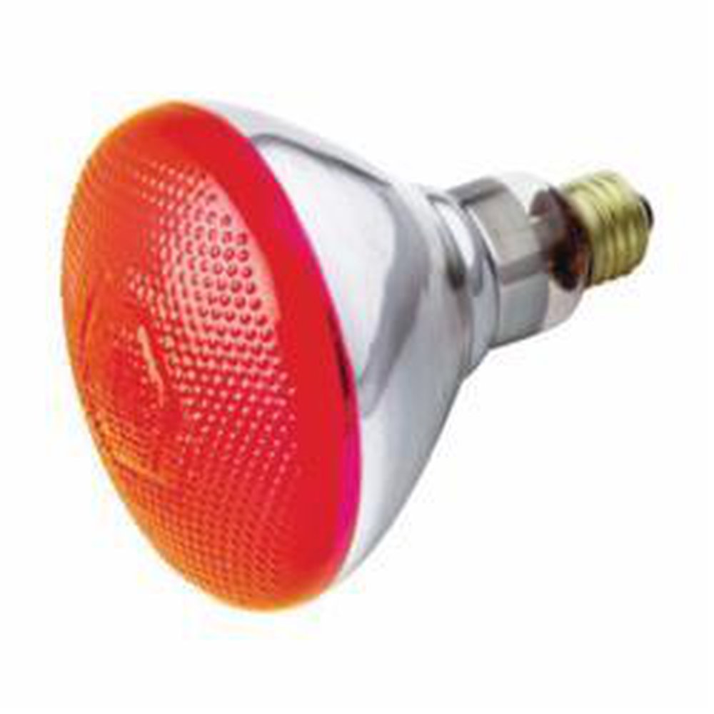 S4424 SATCO 100 WATT BR38