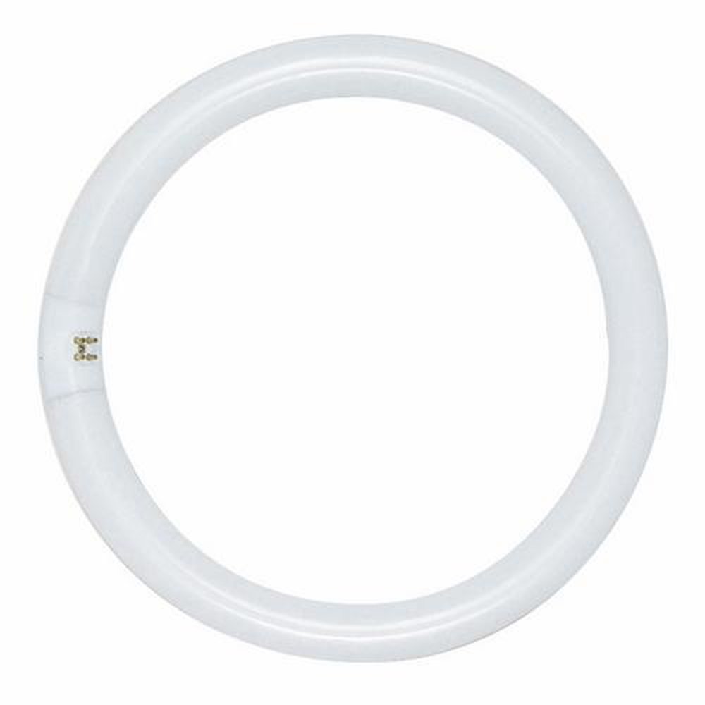 S6504 SATCO 32 WATT T9 CIRCLINE