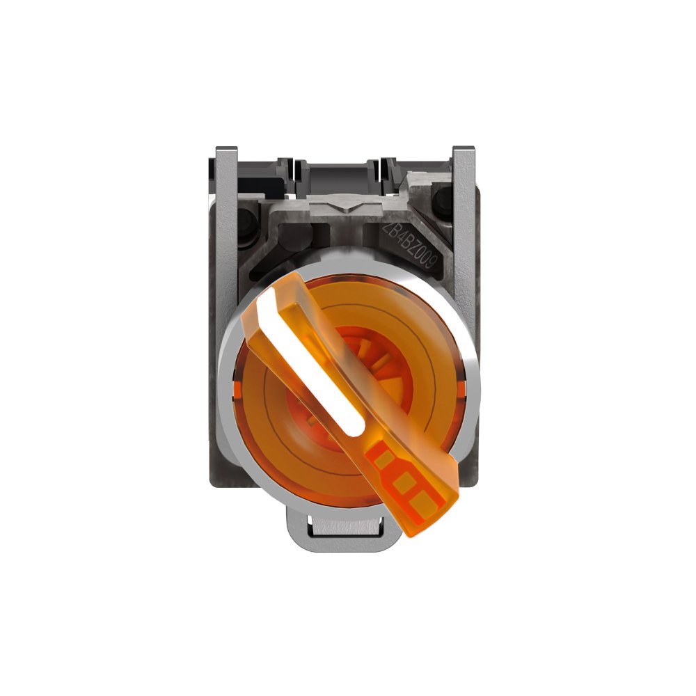 XB4BK125B5 SQD GR ILL 2 POS