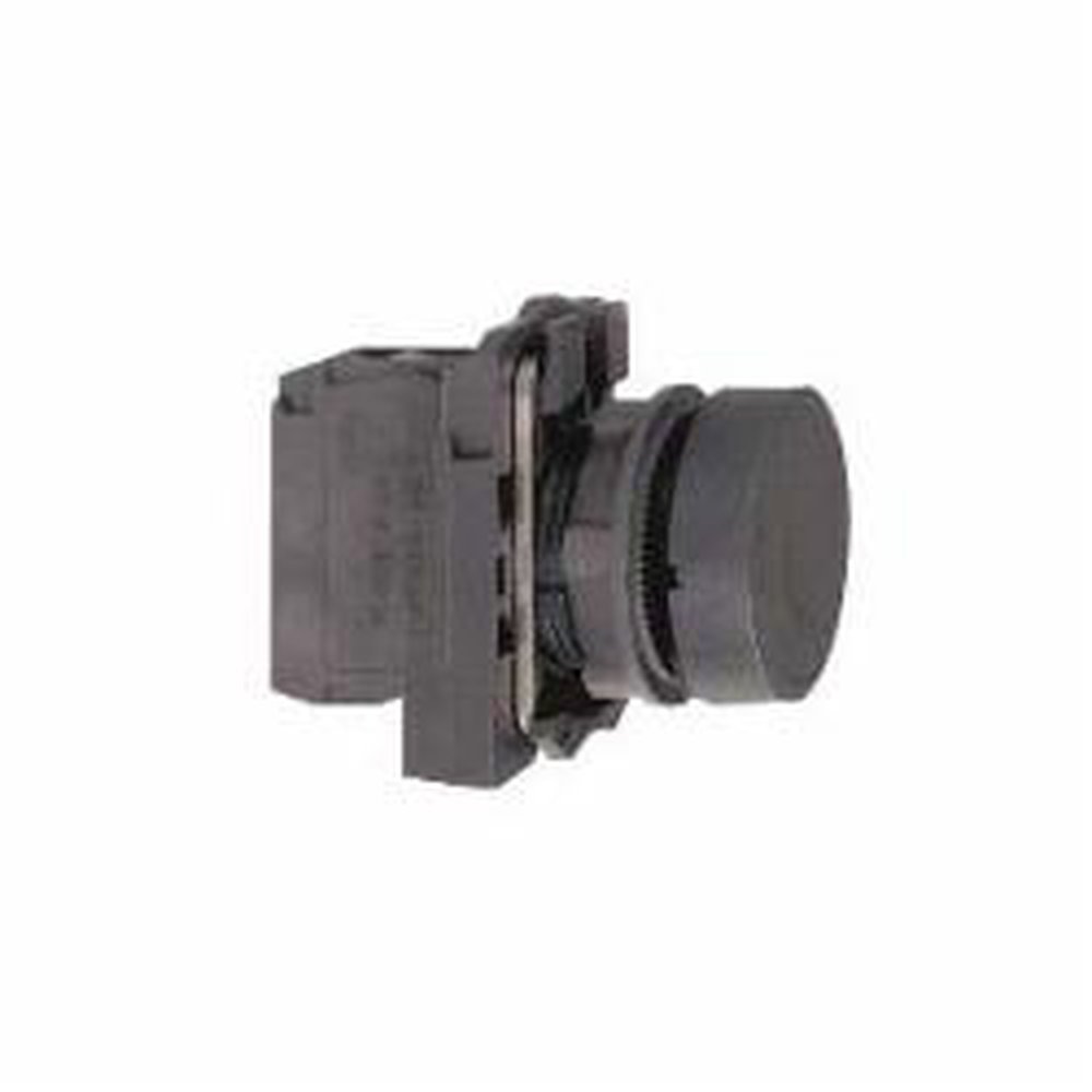XB5AA21 SQD PUSHBUTTON 230VAC 2AMP