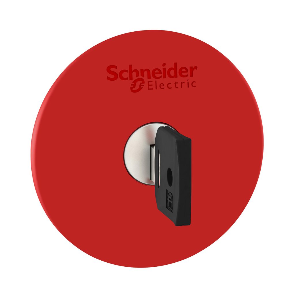ZB4BS964 SQD TRIGGER ACTION KEY