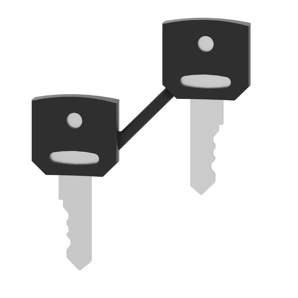 ZBG421E SQD SET OF 2 KEYS AND