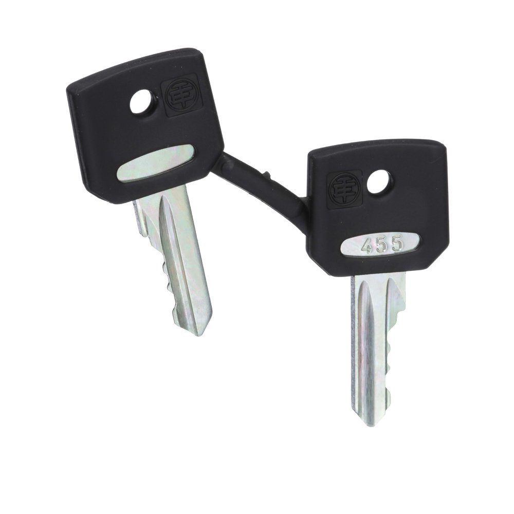 ZBG455 SQD REPLACEMENT KEY