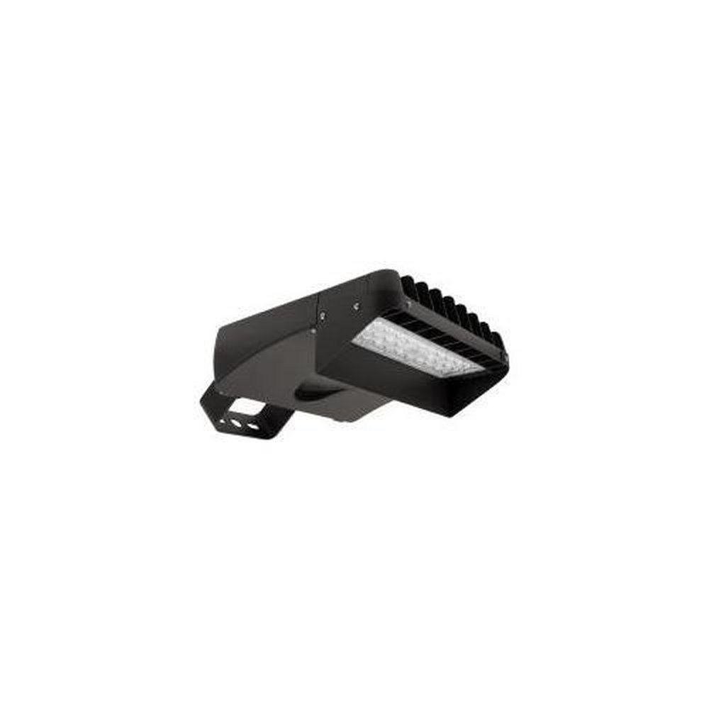 AREA LIGHT VISOR 60164