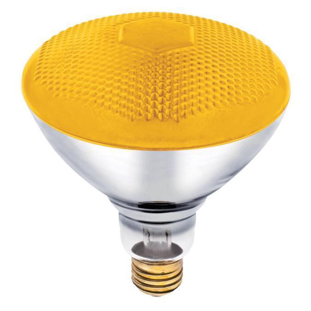 0440900 WESTINGHOUSE 100W BR38