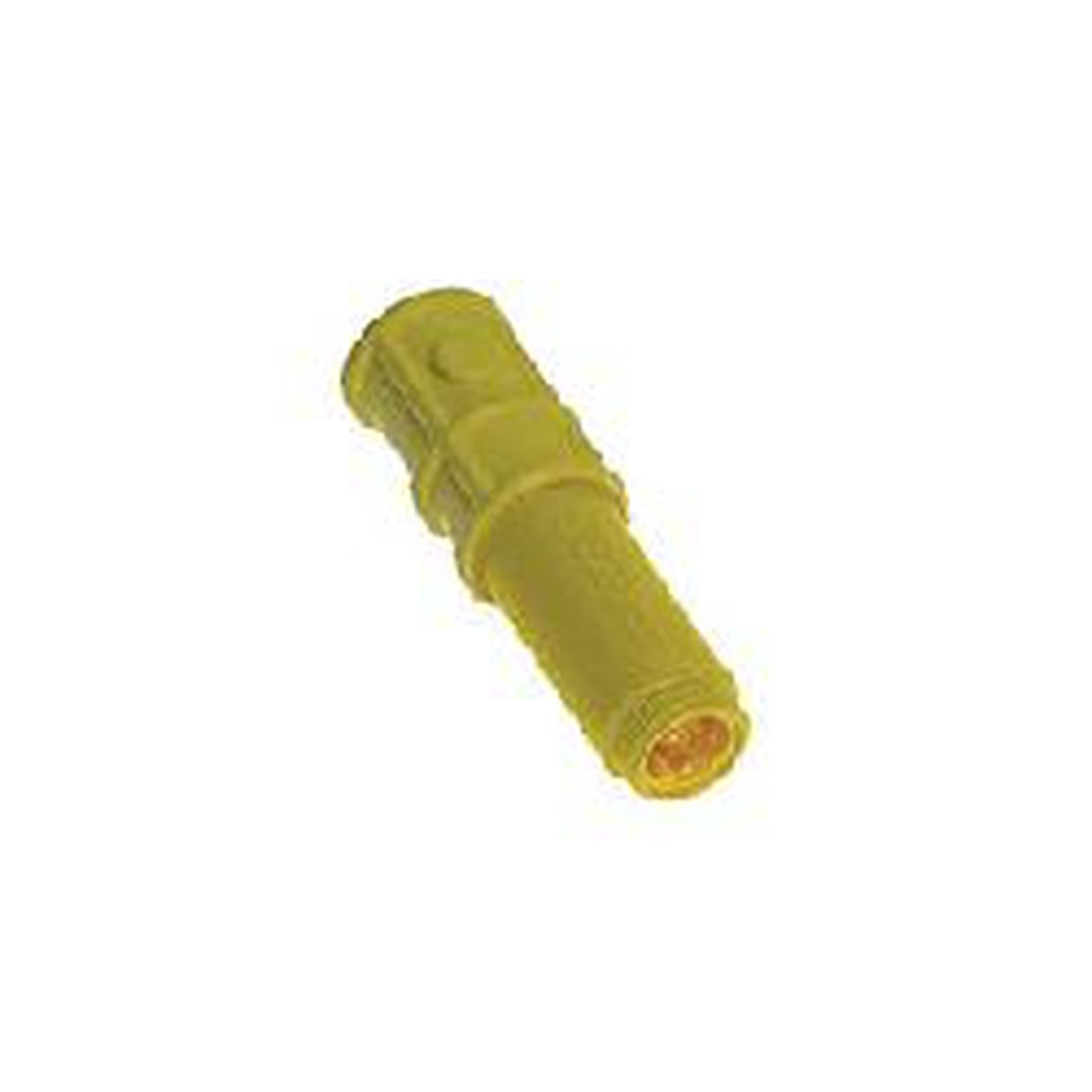 55503 BH MINI SPDT SWINGER