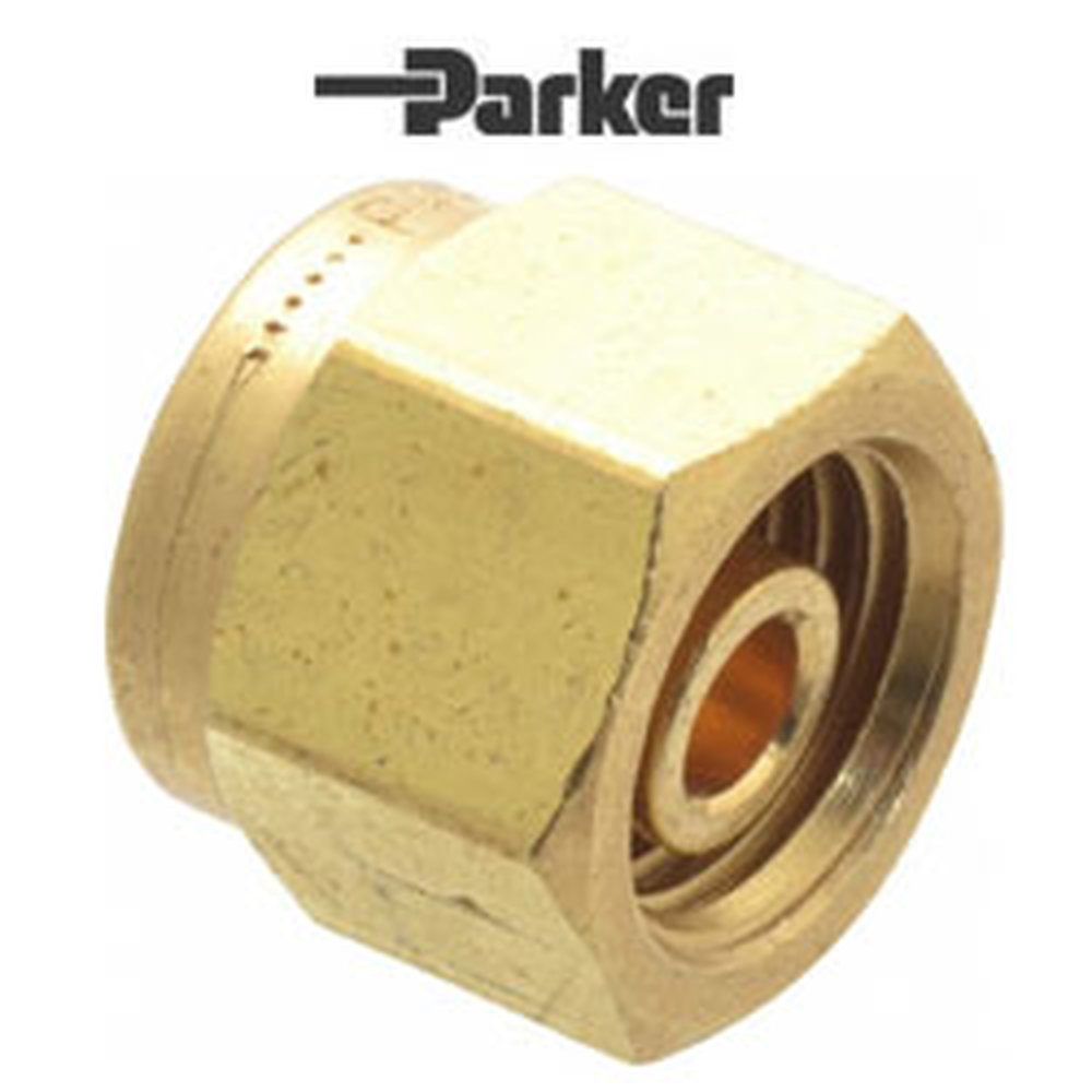 3 FNZ-B-BP25 3/16 PARKER CPI BRASS
