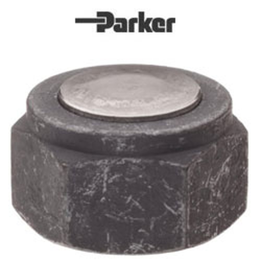 FNZ 10-SS 10MM PARKER CPI 316