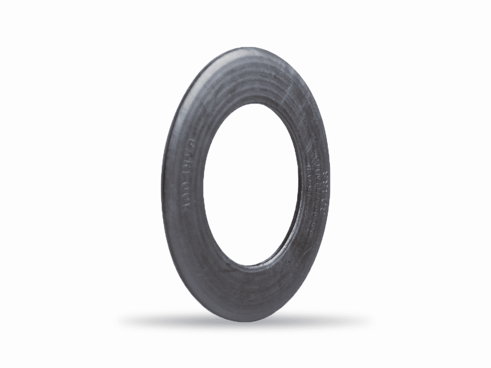 4 150 LB 1/8 304 SS GRAPHONIC RING