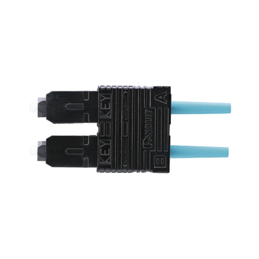 FSCMCXAQ PAN SC OPTICAM 10GIG