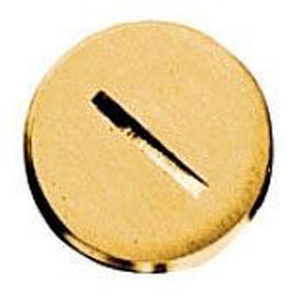 S5003 HUBBELL BRASS 1" FLUSH PLUG 78358512450