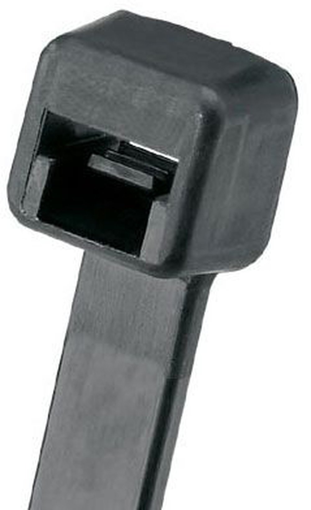 PLT.6SM-M30 PAN CABLE TIE 2.8L