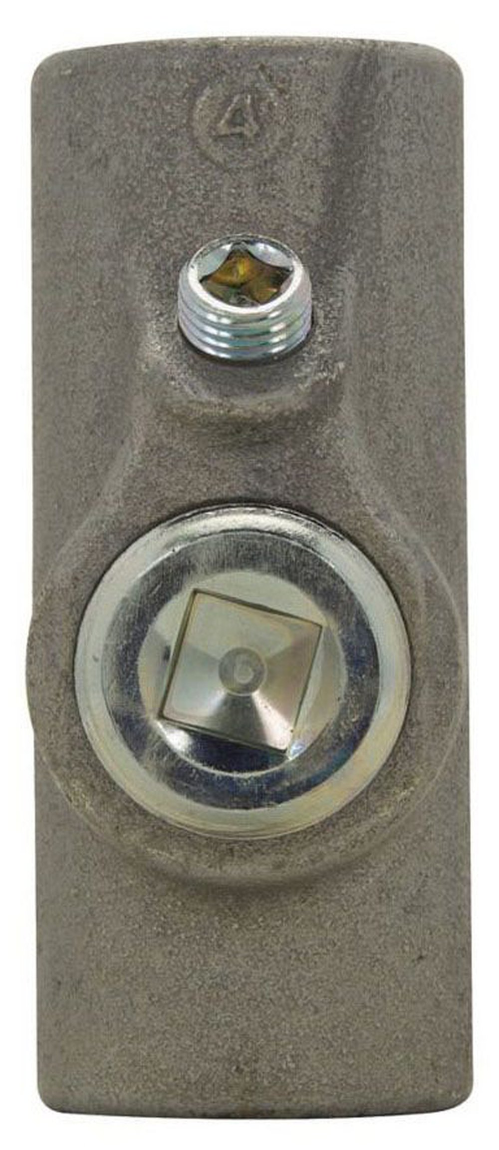 EYSX81 C-HINDS 3 FEMALE VERT/HORZ