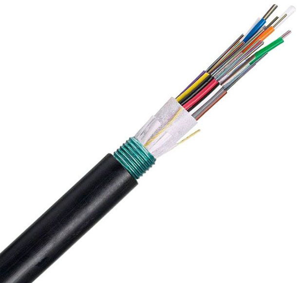 FSWN996 PAN 96-FIBER OS2 SM