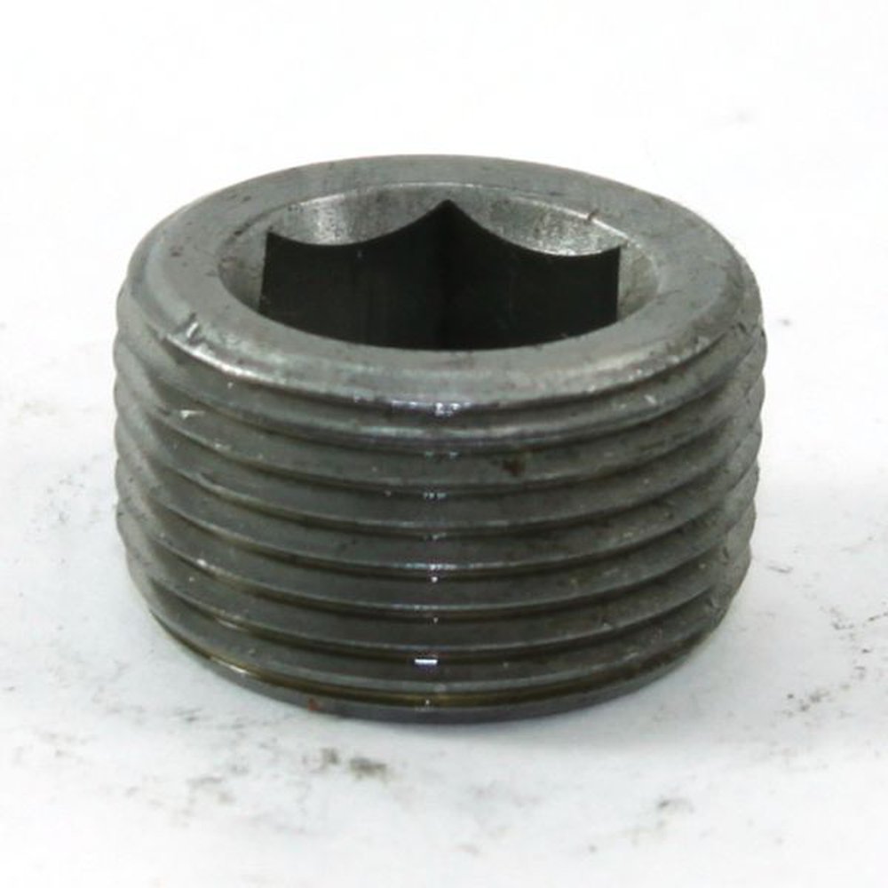 (D) 1 BLK HEX CTSK PLUG STL