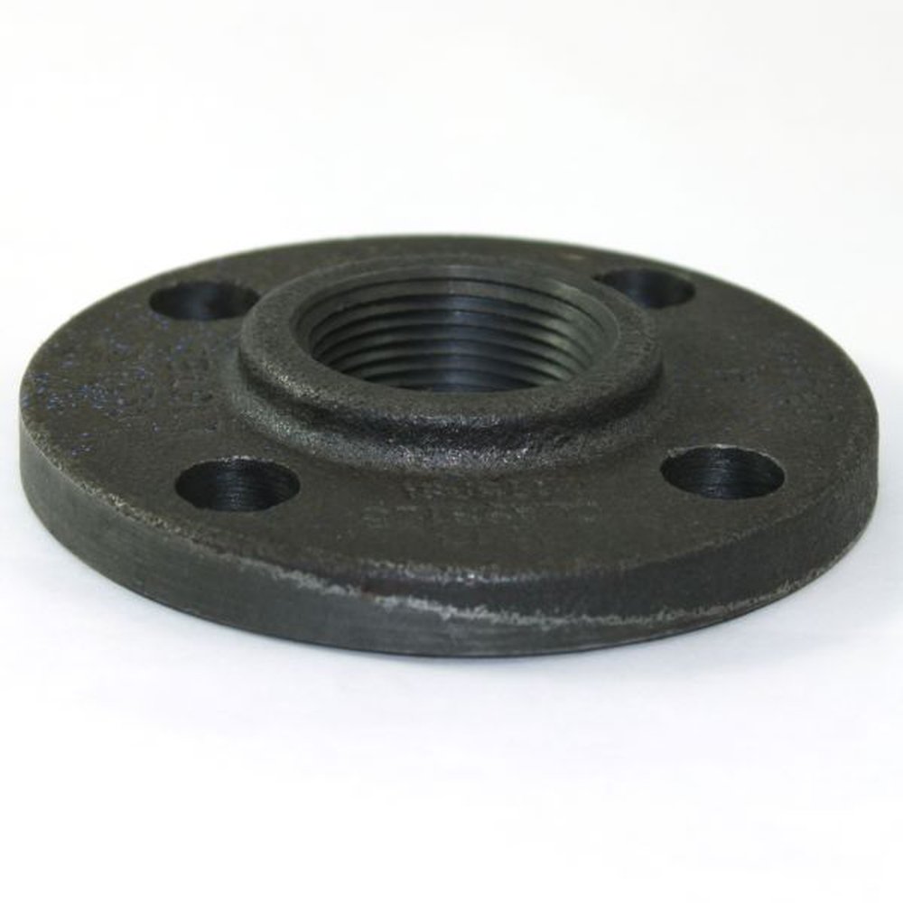 (I) 4 125 LB CI COMPANION FLG