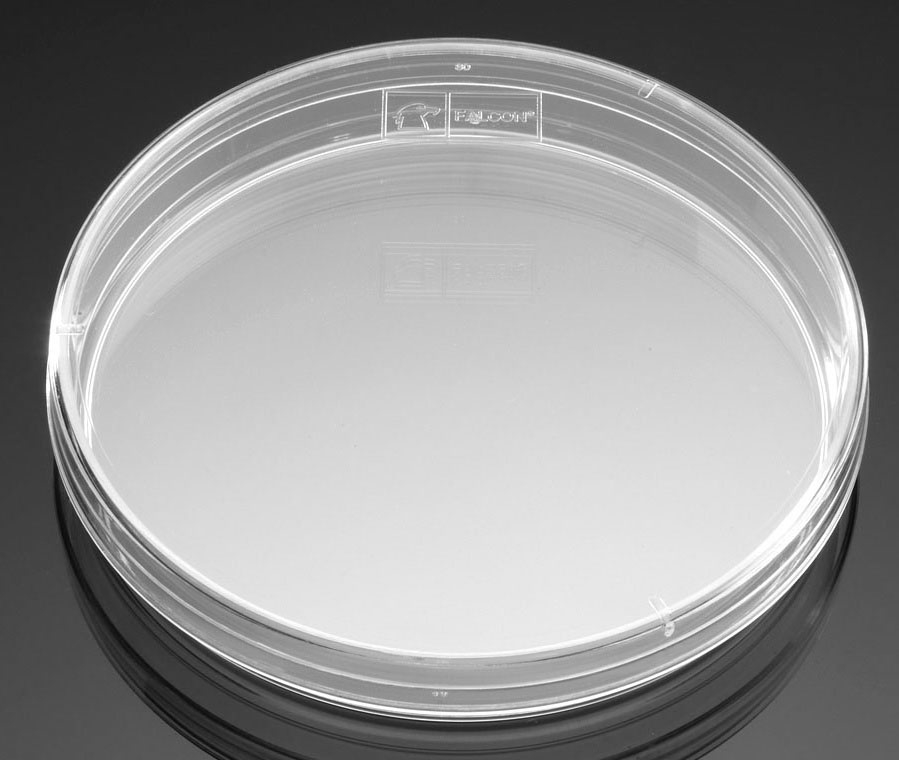 Petri Dish Mercedes Scientific