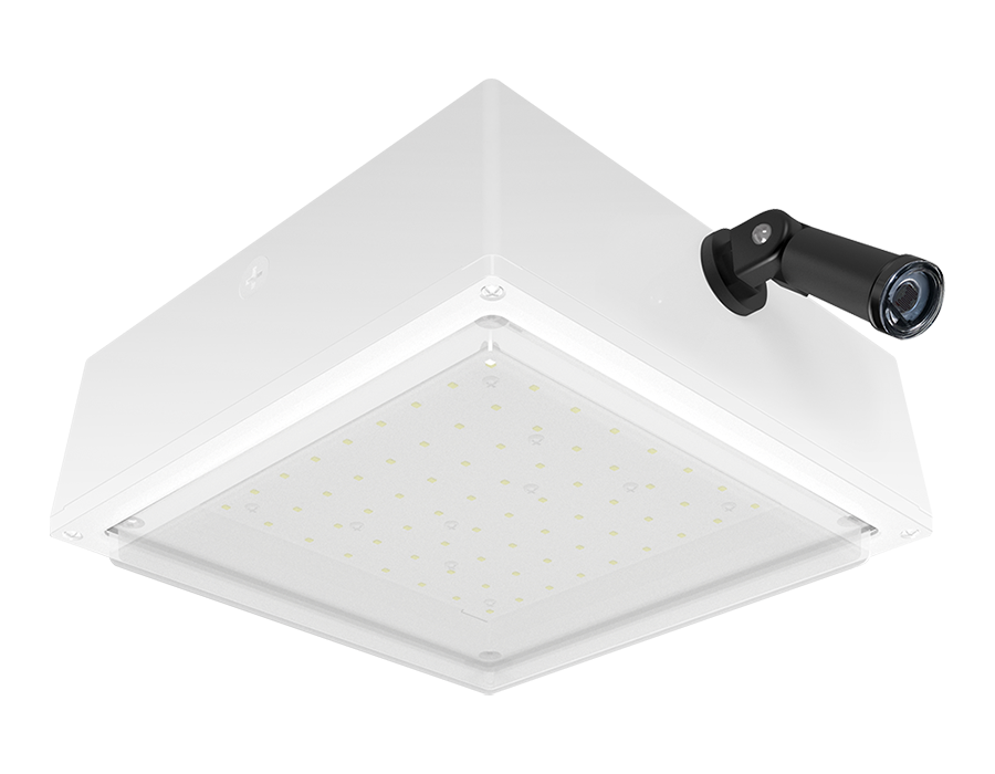 RAB Lighting 10W VANLED Cool LED Drop Lens Bronze Canopy