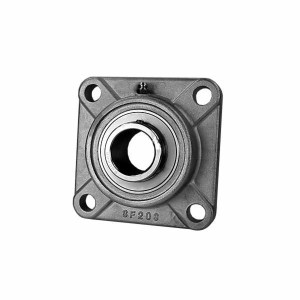 IPTCI SUC206-18 SS Insert Bearing - 1.125" Bore, 2.4409" OD Stainless Steel Bearing